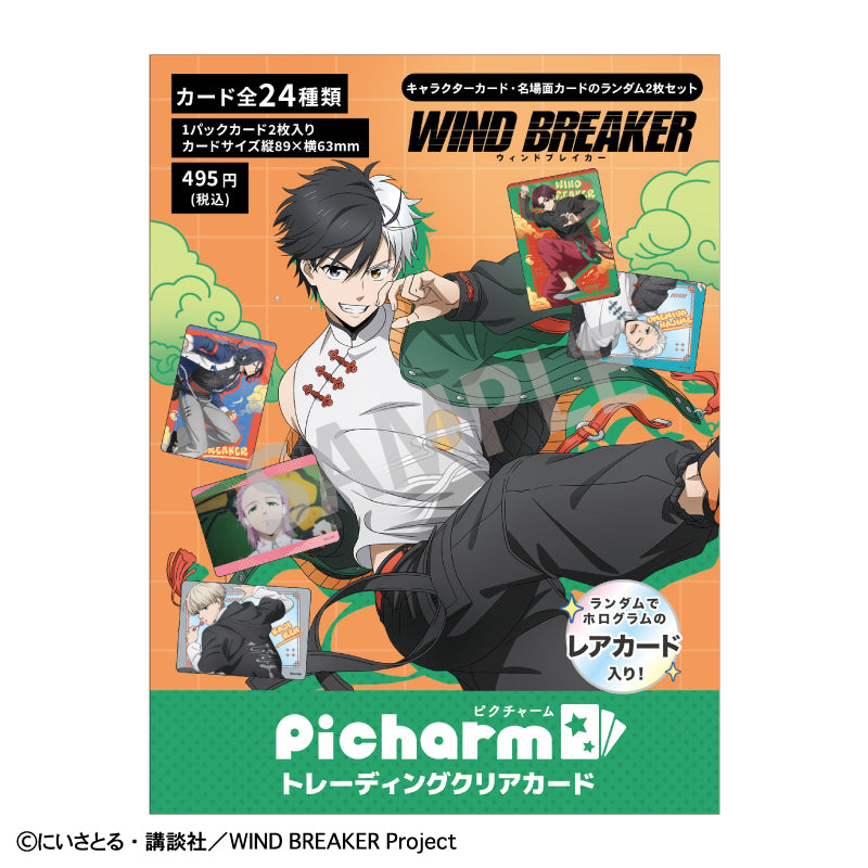 【予約商品】WIND BREAKER picharm＿チャイナアクション